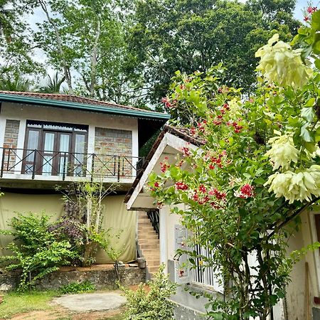Dosemo Cabana Induruwa Exterior photo