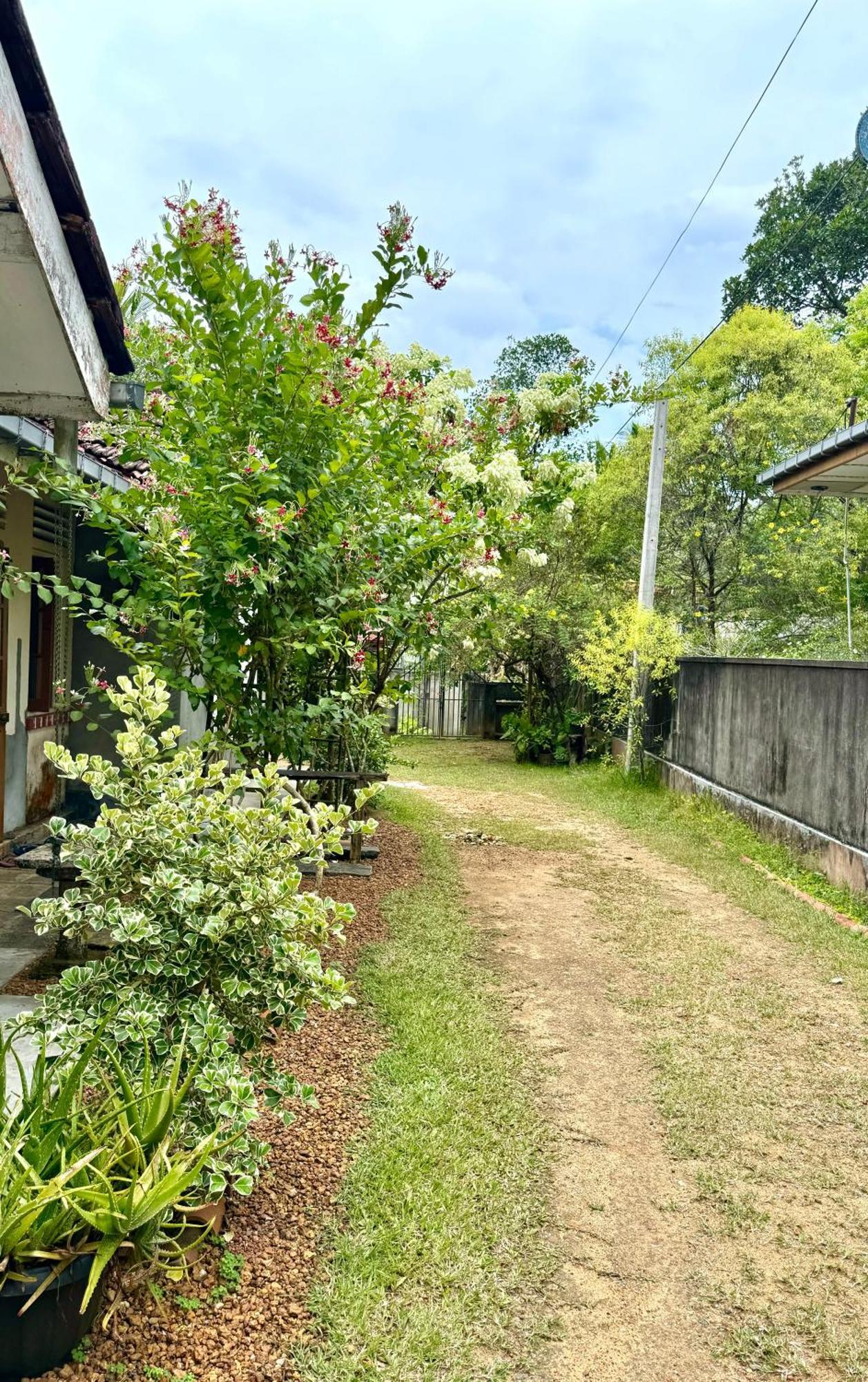 Dosemo Cabana Induruwa Exterior photo