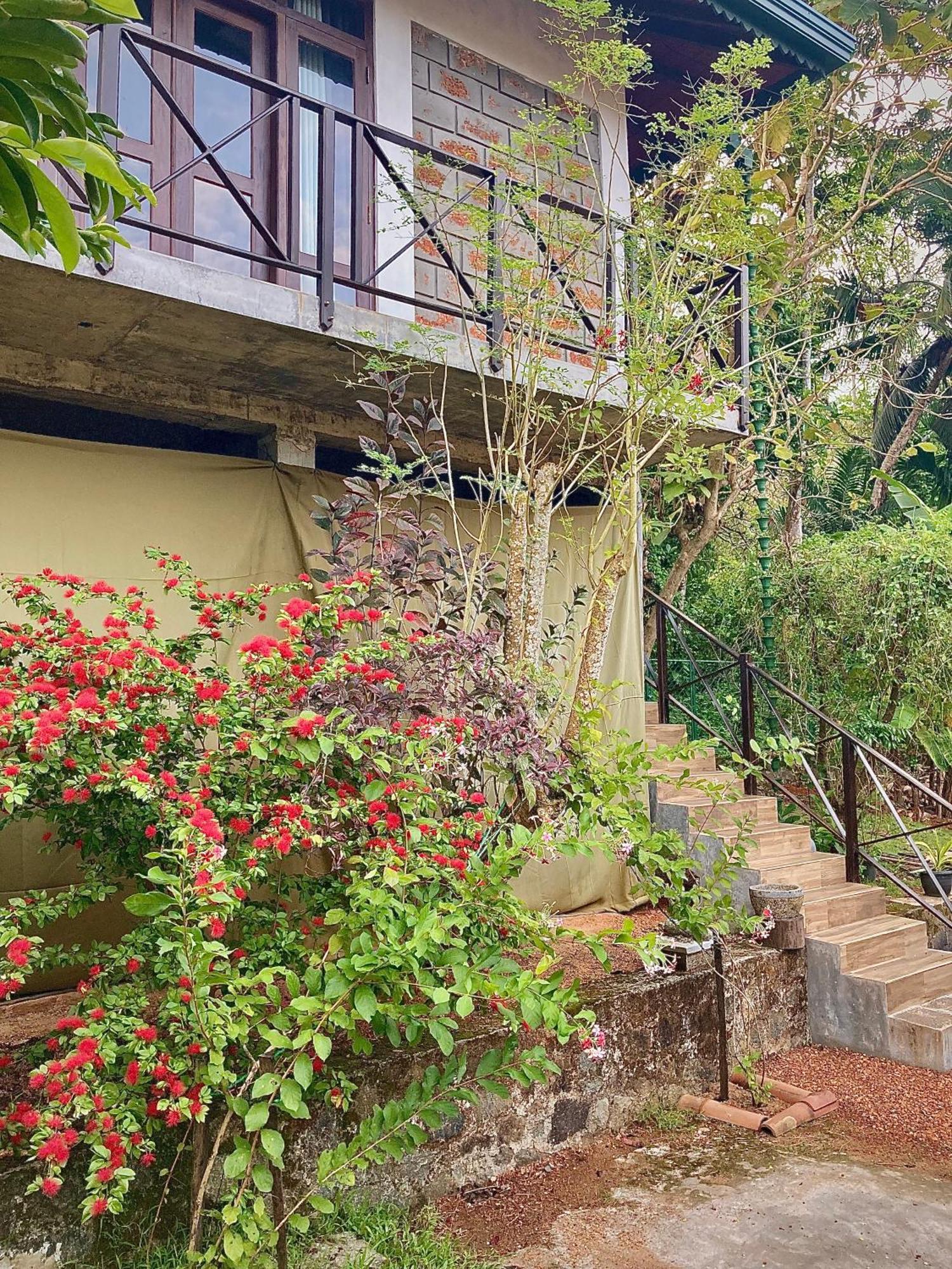 Dosemo Cabana Induruwa Exterior photo